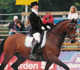 Nina och Romeo K på F.E.I World Championship for Young Dessage horses, Verden Tyskland-05